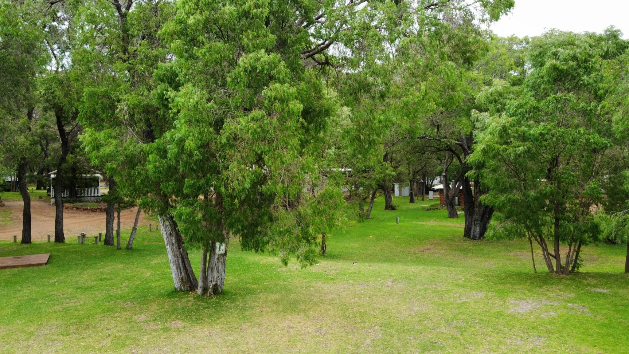 Big Oval & Powered Tent Sites