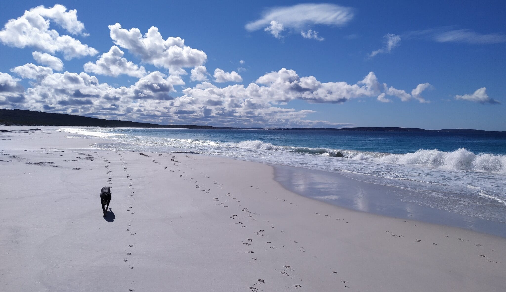 Back Beach - Dog Friendly