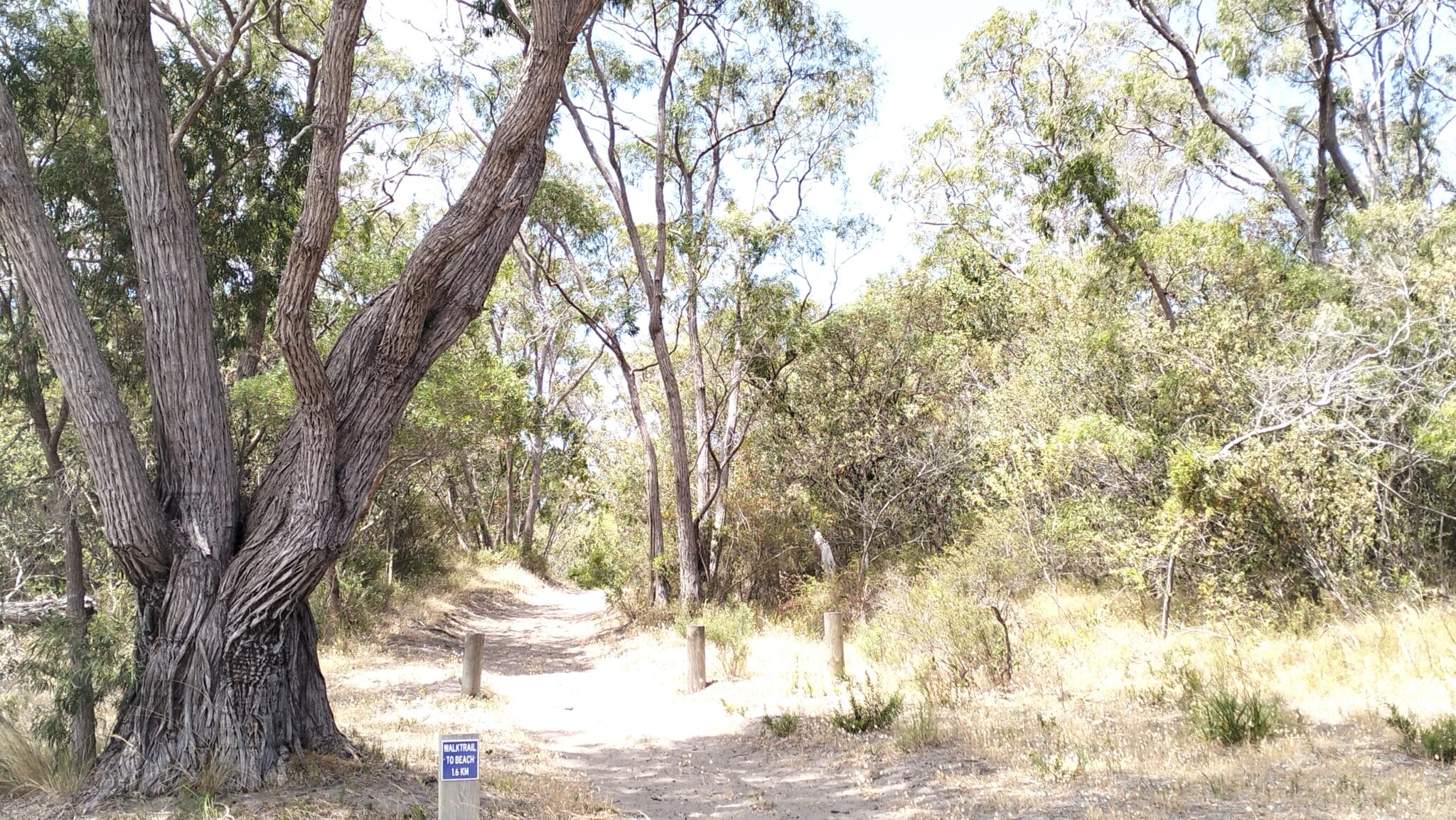 Nature Walk Trail to Back Beach